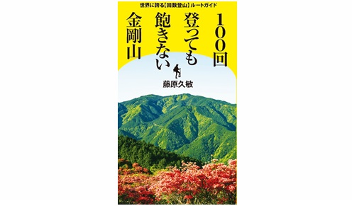 100回登っても飽きない金剛山 世界に誇る【回数登山】ルートガイド